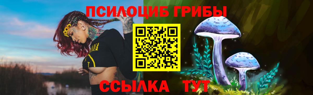 Галлюциногенные грибы Psilocybine cubensis  Псилоцибиновые грибы прущие грибы  Вход с VPN  Черкесск 
